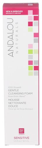Andalou Naturals Cleansing Foam Gentle - 5.5 Fo (1 Units)